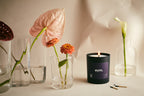 Laze - One Wick Candle