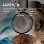 Drift 100ml Reed Diffuser