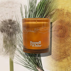 Sequoia 250g Scented Soy Candle